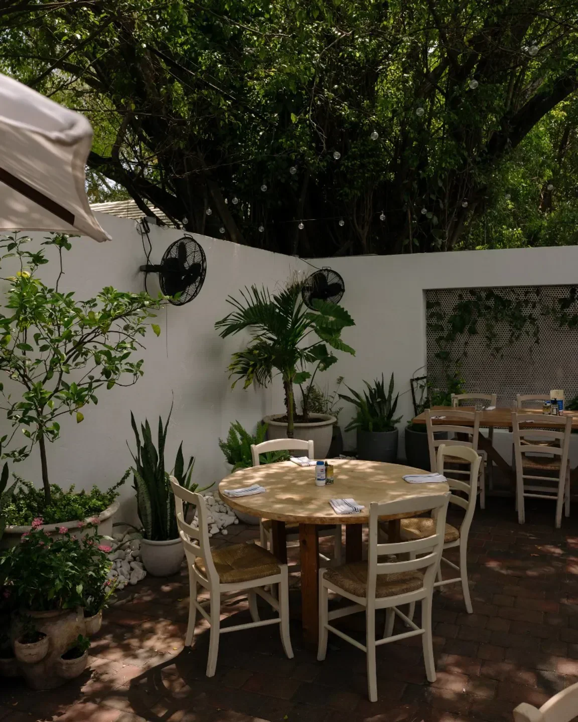 Outdoor dining at Mandolin Aegean Bistro in Miami, surrounded by lush greenery.