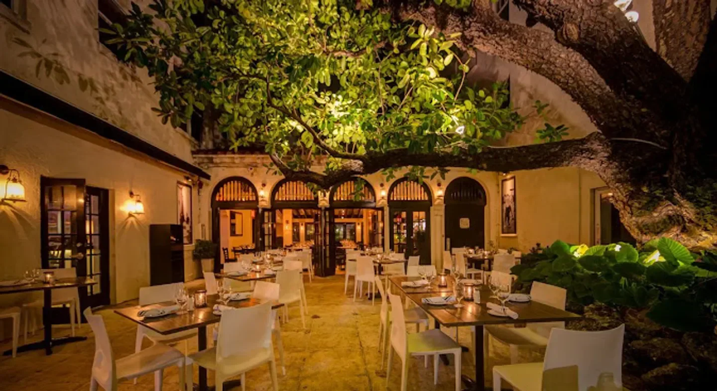 Outdoor dining at Prime 112 in Miami, featuring tables and a large tree canopy.